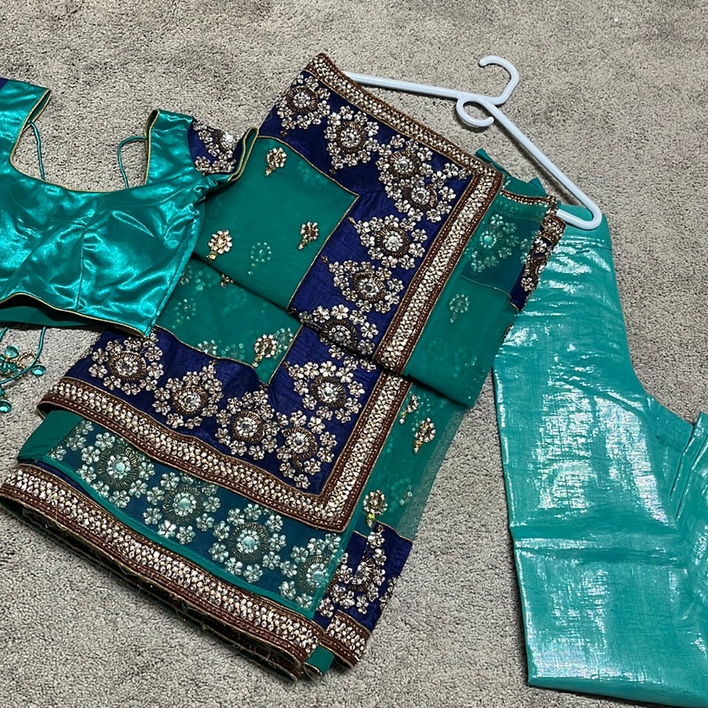 Net saree with pearl border